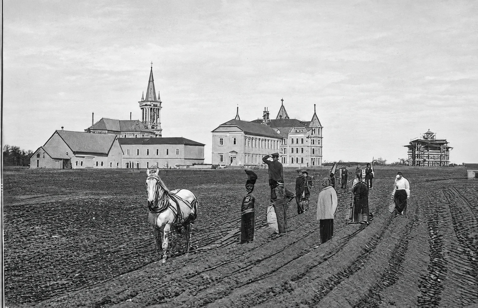College exterior — potato field